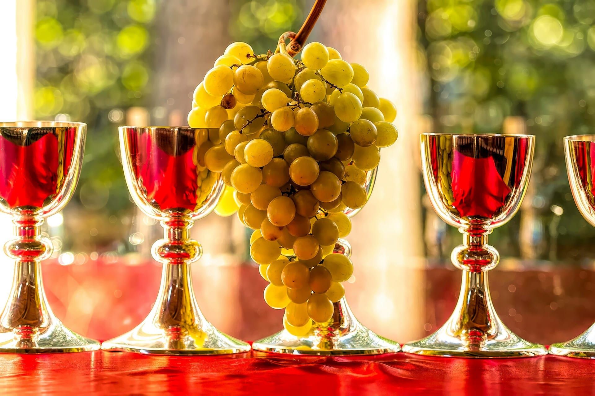 The 2025 Santa Barbara Wine & Food Festival: A Celebration of Local Flavors and Fine Wines