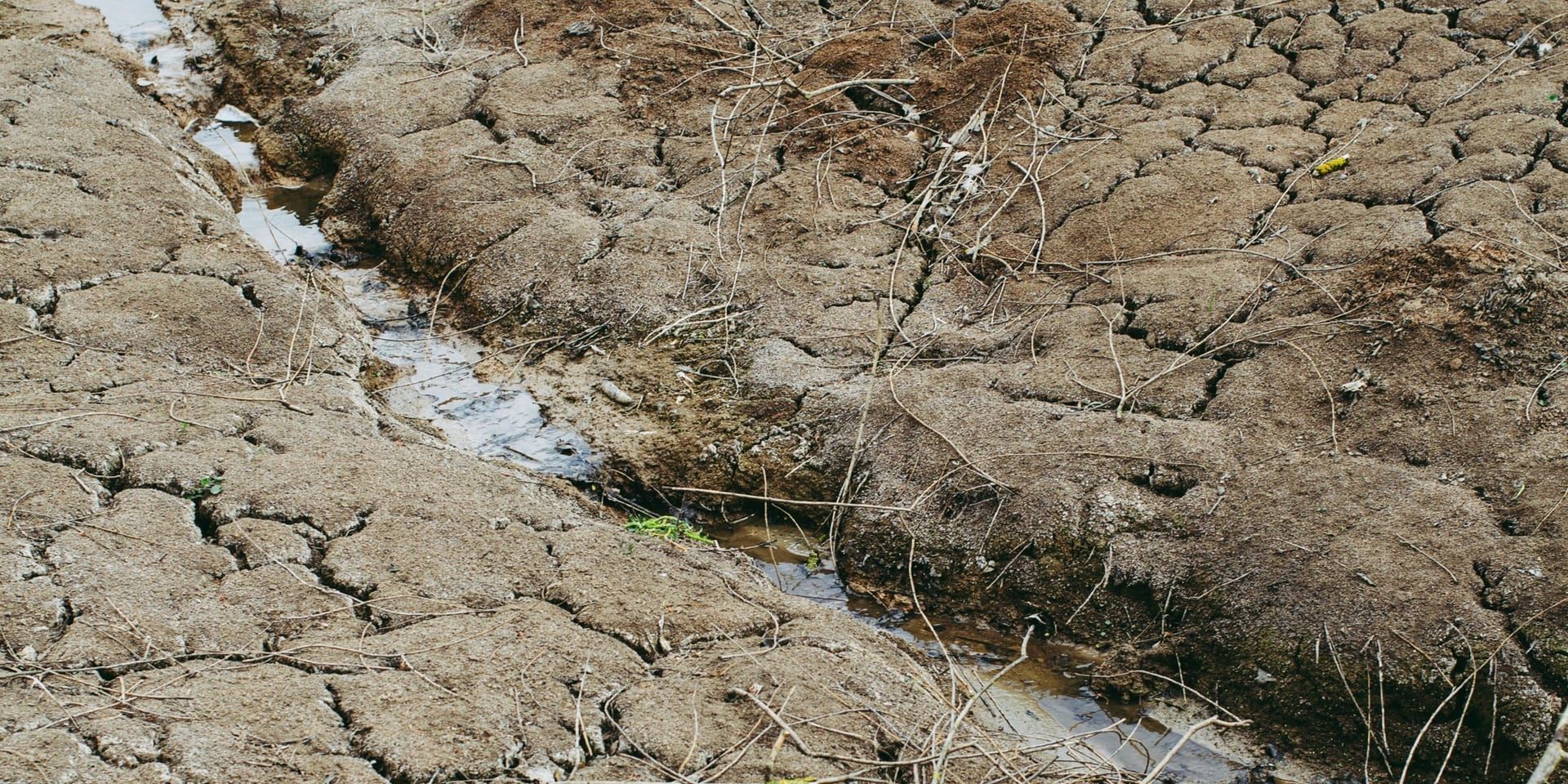 California Faces Intensifying Drought Conditions Amidst Climate Challenges