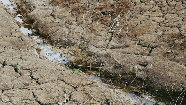 California Faces Intensifying Drought Conditions Amidst Climate Challenges