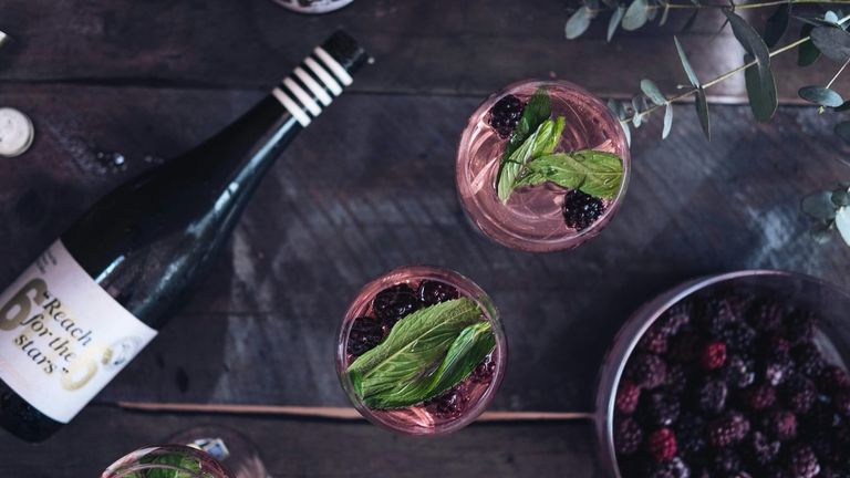 The 2025 San Francisco Vegan Wine Pairing Festival: A Feast for the Senses