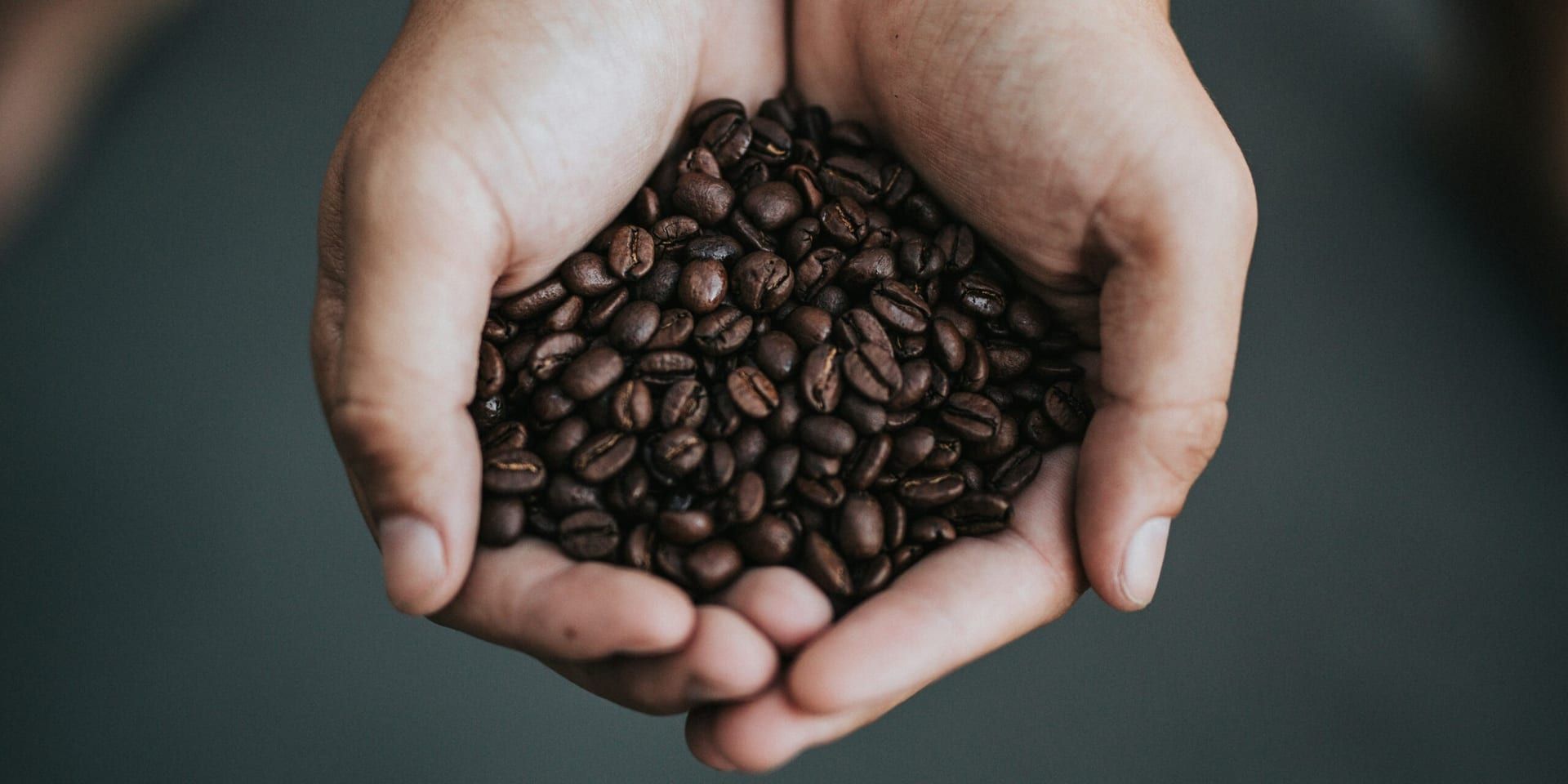 The 2024 California Coffee Summit: Brewing Innovation and Sustainability