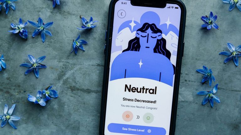 Silicon Valley Startup Introduces AI-Powered Mental Wellness App