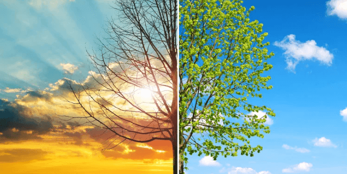 San Francisco to Host Global Climate Innovation Summit