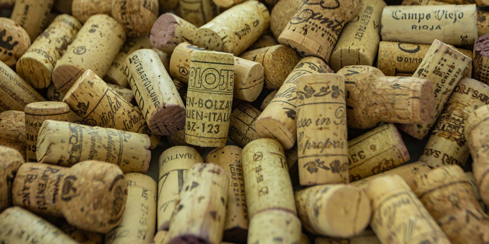 Napa Valley Wine Auction 2024: A Record-Breaking Event That Blends Fine Wines with Community Impact