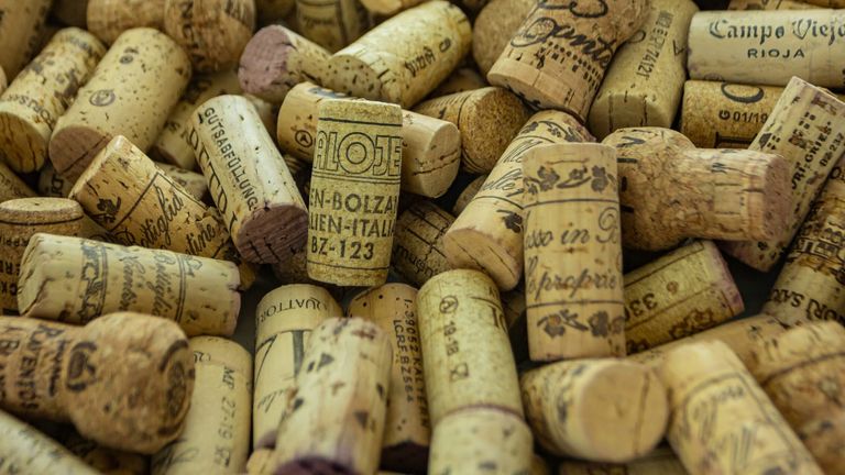 Napa Valley Wine Auction 2024: A Record-Breaking Event That Blends Fine Wines with Community Impact