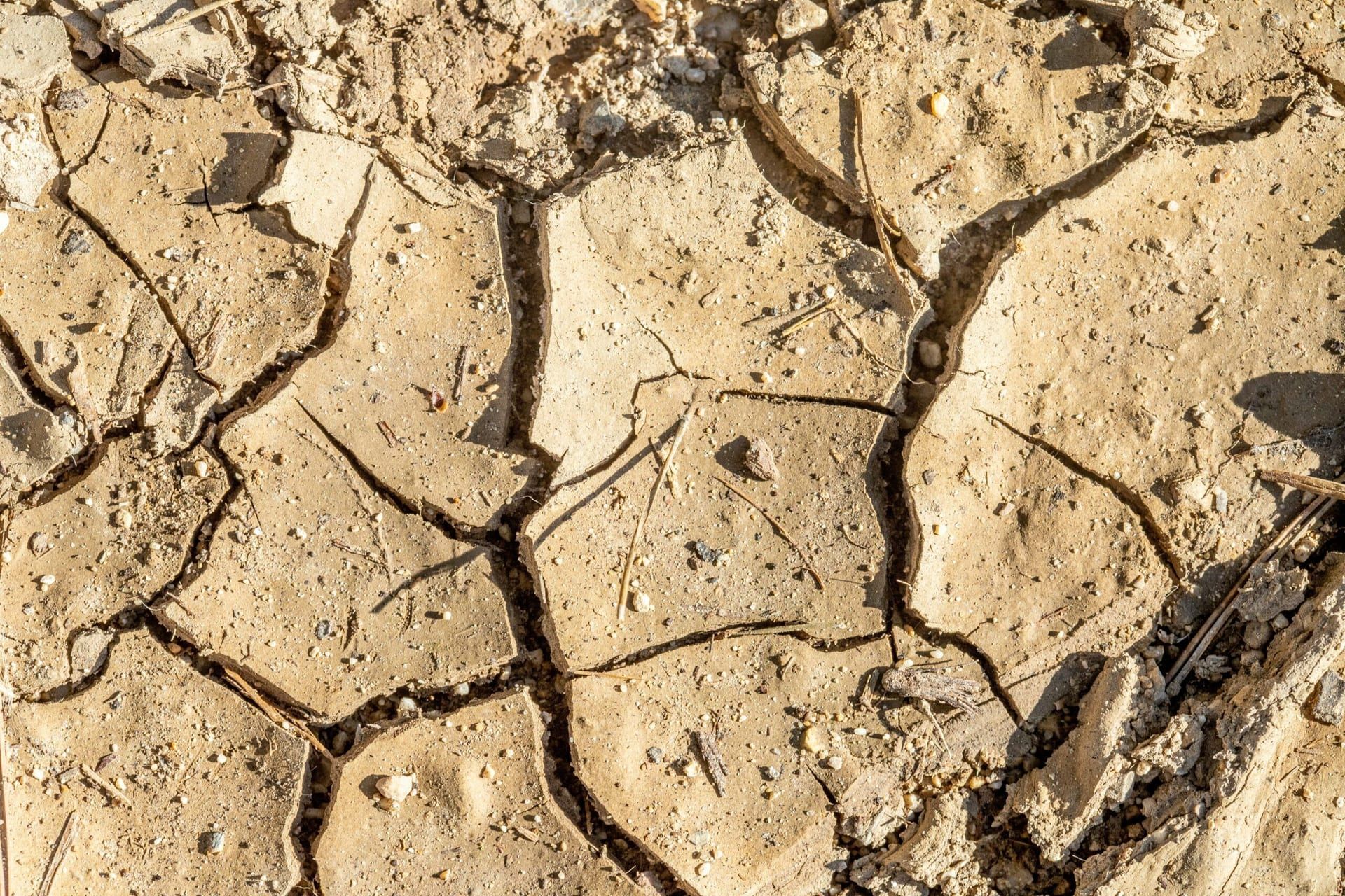 California’s Water Crisis Worsens: Urgent Calls for Action Amidst Severe Drought