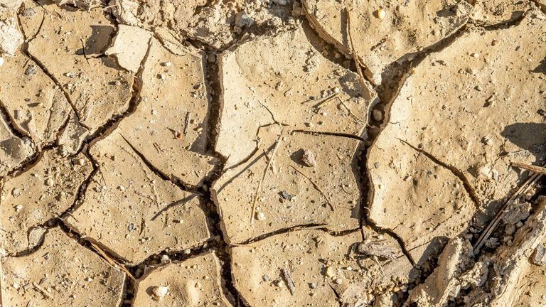 California’s Water Crisis Worsens: Urgent Calls for Action Amidst Severe Drought