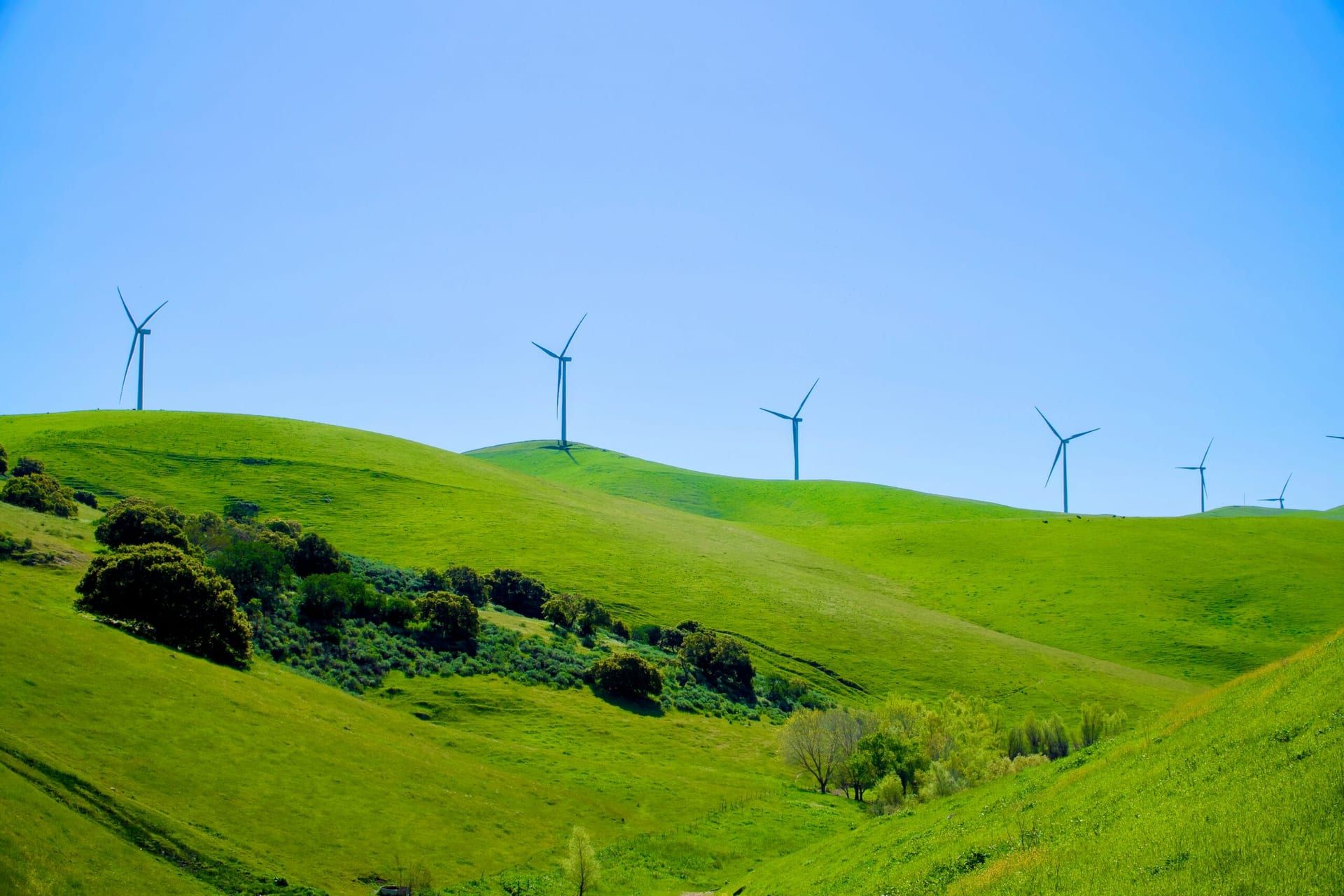 California’s New Climate Strategy: A Bold Step Toward Clean Energy and Sustainability