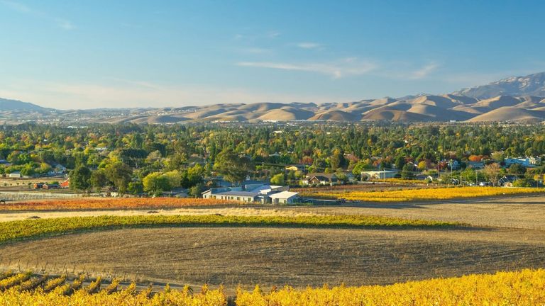 The Impact of the 2024 California Wine Auction on Napa Valley’s Global Reputation