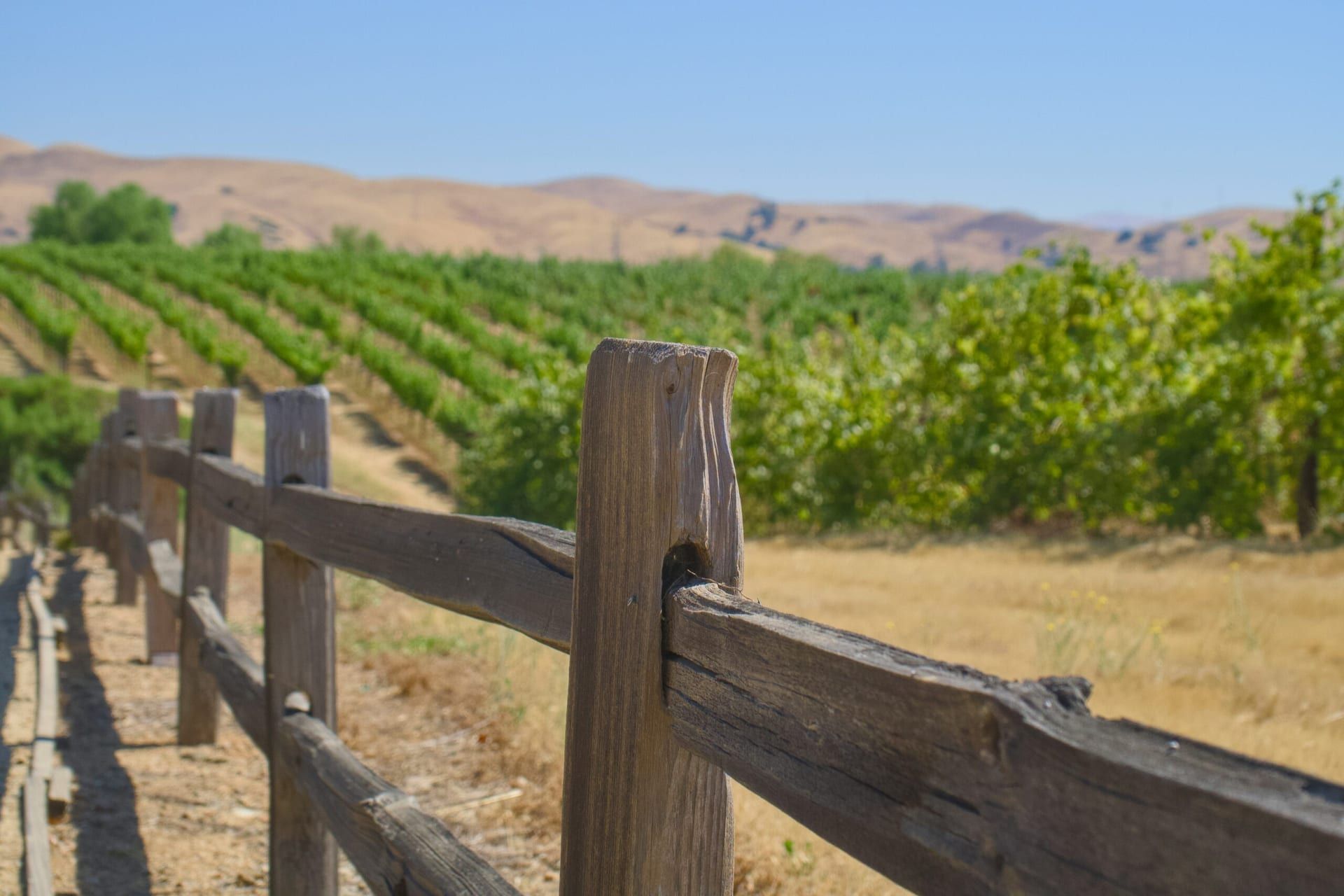 California Wine Week Kicks Off in Napa Valley with Historic Tastings