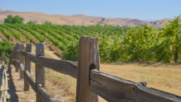 California Wine Week Kicks Off in Napa Valley with Historic Tastings
