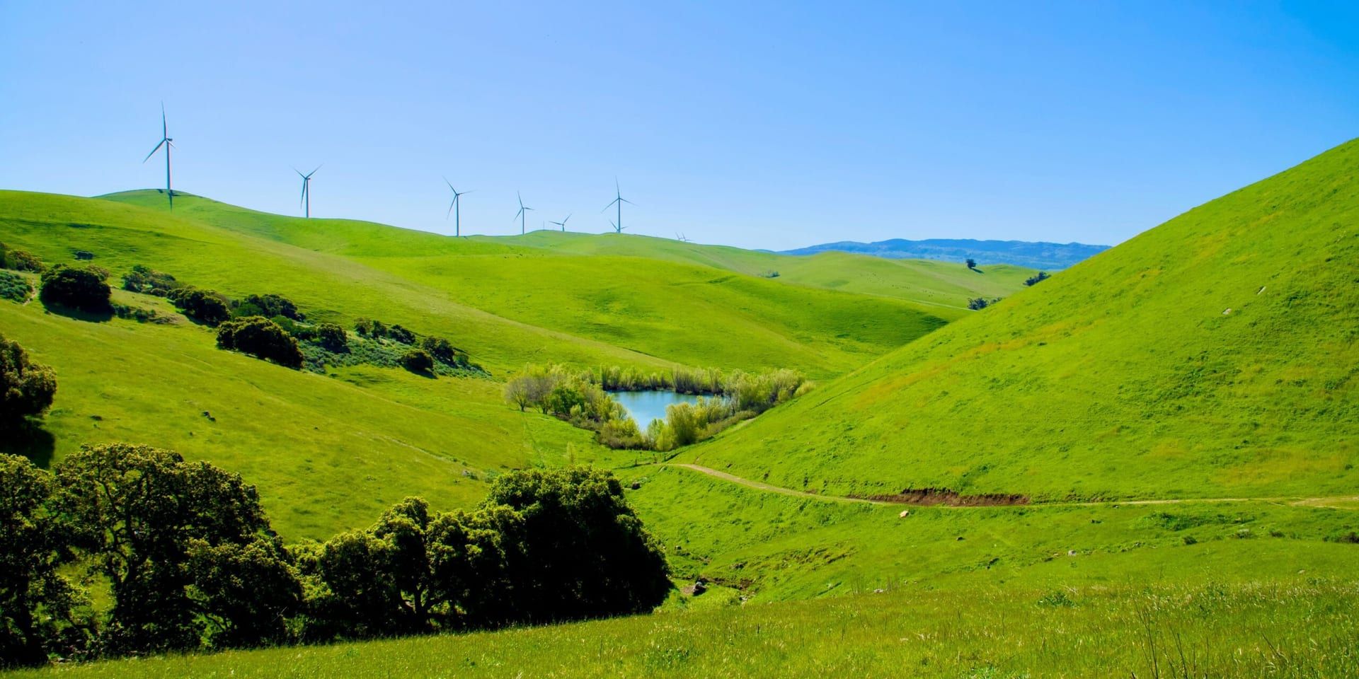 California’s Ambitious Green New Deal: A Push for Zero-Emission Goals by 2035