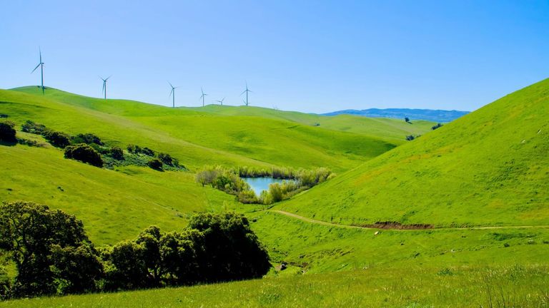 California’s Ambitious Green New Deal: A Push for Zero-Emission Goals by 2035