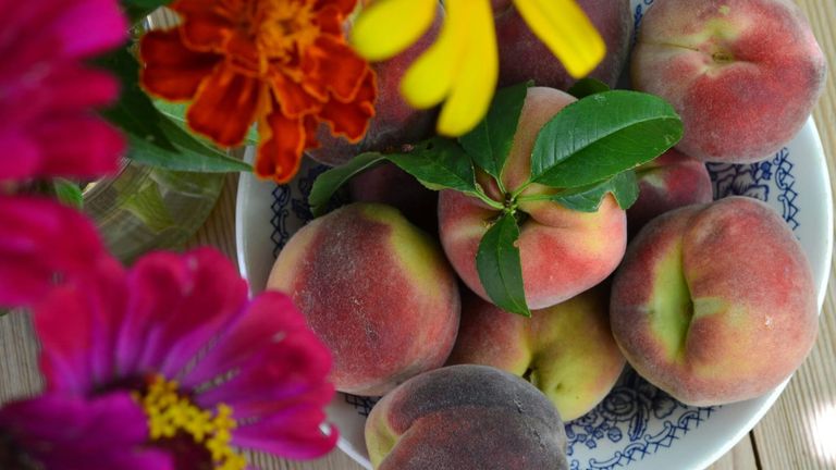 National Eat A Peach Day: Celebrating Summer’s Sweetest Fruit