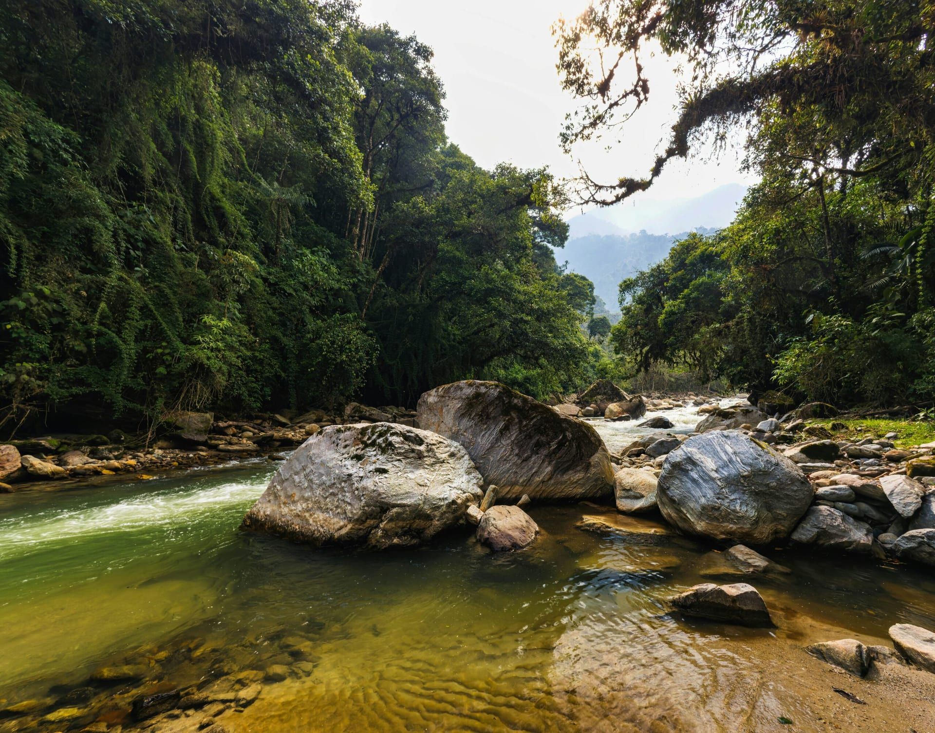 Sustainable Travel: How Eco-Tourism Is Shaping the Future of Vacationing in Costa Rica