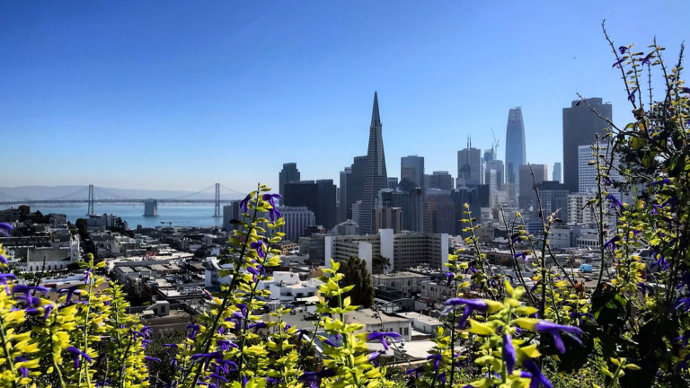 The Secret Life Of San Francisco's Miniature Parks | Bold