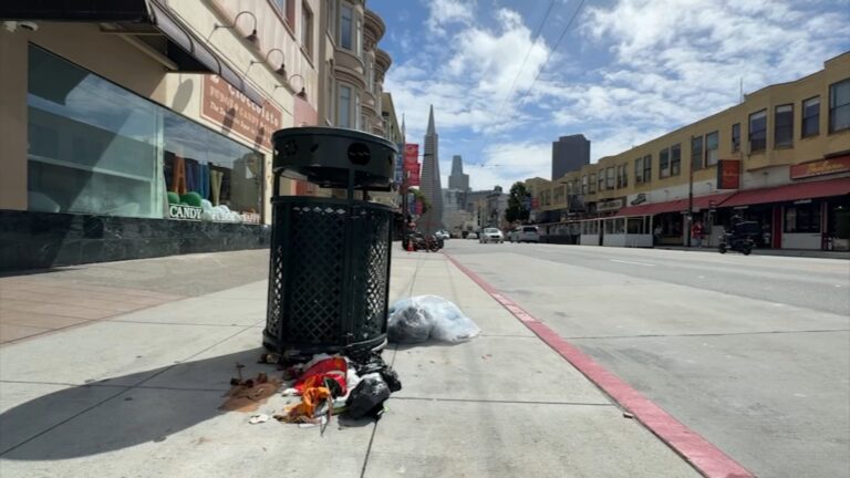 San francisco residents demand more trash bins to tackle garbage