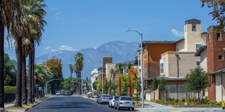 Golden State Weekend: Wildflower Blooms, Weather Swings, and Cultural Highlights Across California