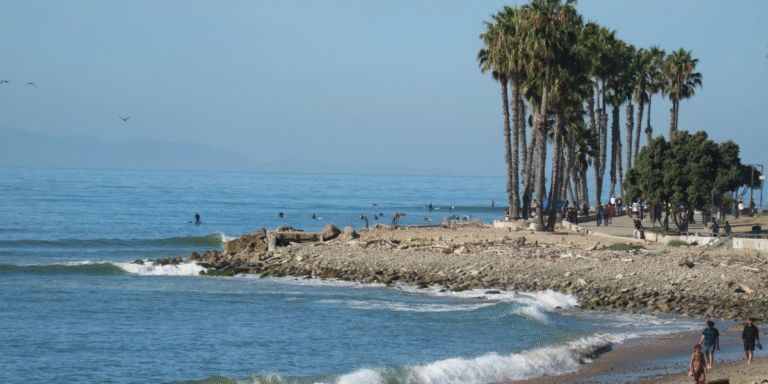 San Francisco and California See Spring Surge in Travel, Culture, and Local Business Activity