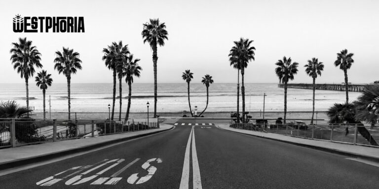 Inside the Wave: How Westphoria Captures the Ocean Like No One Else Palm-lined street leads to calm beach and pier in black and white, with Westphoria logo.